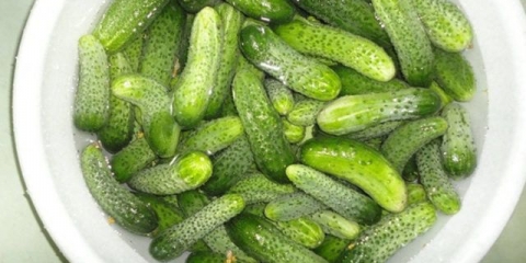 Ladyfingers od krastavca: recept za zimnicu